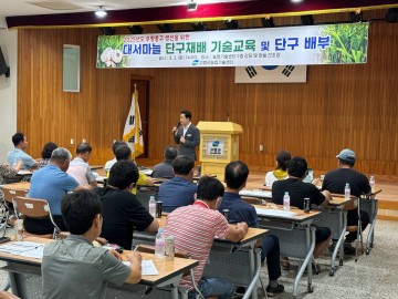 고령군농업기술센터, 대서마늘 씨마늘 증식농가 대상 교육 실시