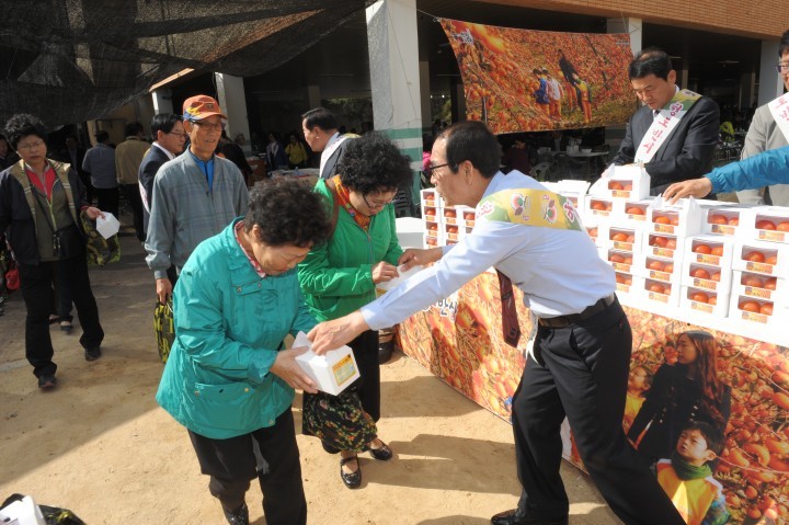 " 부산 시민과 함께 하는 "청도반시 맛보기행사 개최