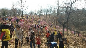 부천시민과  제72회 식목일 기념 내 나무 심기 행사