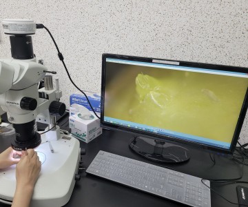 상주시, 딸기 화아분화 검경 서비스 본격 시작!