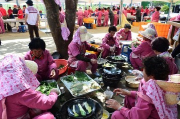 산채으뜸마을 대하리 곤드레축제