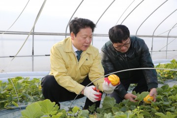 태교여행 필수코스! 참외향기 가득한 성주로 오세요