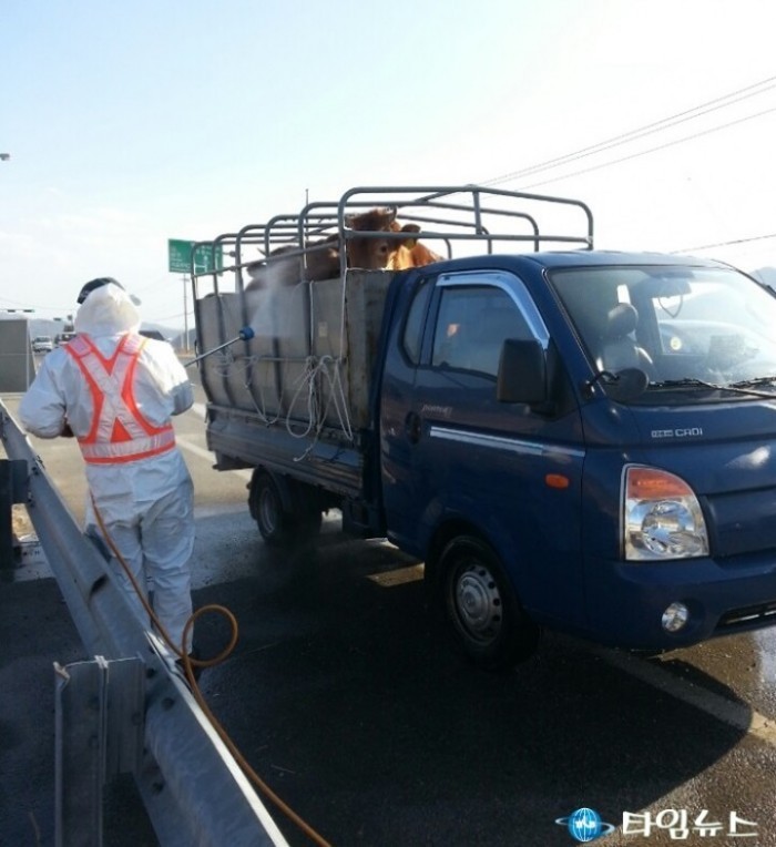 포항시, 설 전후 축산시설 ‘일제소독의 날’ 지정 방역 강화