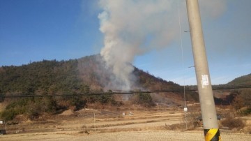 [독자기고]봄철 산불! 47%가 전남에서 발생합니다.