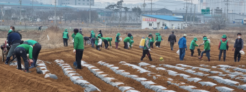 이웃돕기 사업의 일환으로 ‘사랑의 감자심기’ 행사