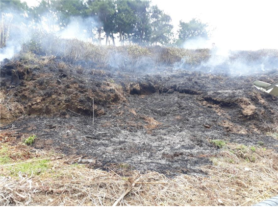 보성소방서, 녹차밭 화재 진압 