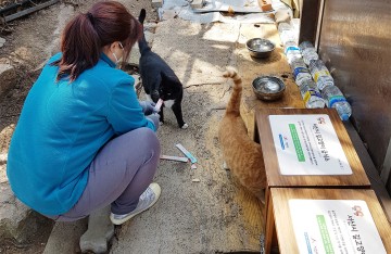 길 고양이 급식소 운영으로 개체 수 조절 나서는 서산
