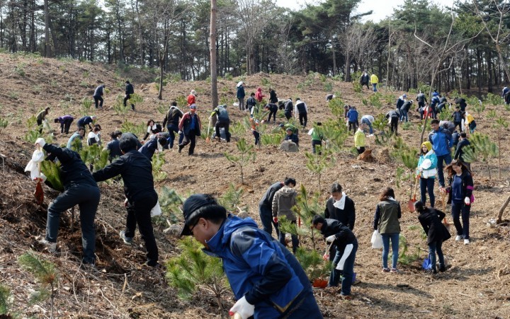 안희정 지사, 식목일 앞두고 예산군서 나무심기 행사