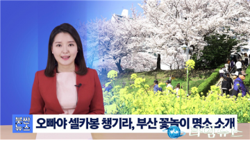“마! 봤나 살~아있네” 국내 최초 사투리 ‘붓싼뉴스’