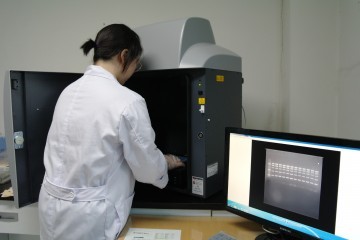 고품질 강화섬쌀 생산을 위한 품종 검정 의뢰농가 증가