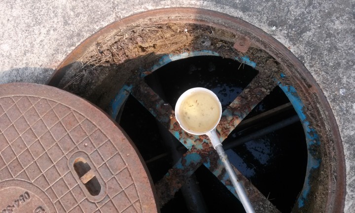 해빙기 방역활동 강화