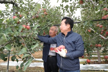 [포토뉴스]안동시·농협 안동시지부·동안동농협 합동 농촌일손돕기 나서