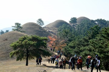 제8회 대가야 왕릉길 걷기대회 개최