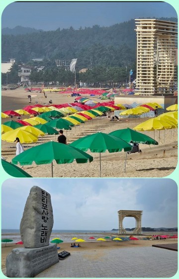 태안군 28개 욕장 피서객 161만 명? '눈대중 주먹구구 집계'..통계 진실해야 대비책 나와..