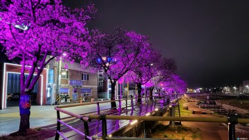 영덕군, 덕곡천 산책로에 야간 경관조명 설치