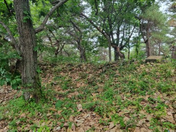 의성군 계란현봉수 유적 국가 사적 지정