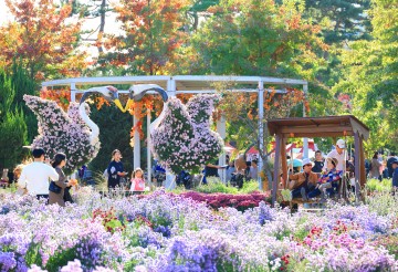 대전 유성구, ‘제16회 유성국화축제’ 18일 개막…7천만 송이 가을정원 선보인다