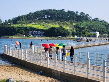  ‘예술의 섬 여수 장도’ 관람객 편의 제공 '호응' 