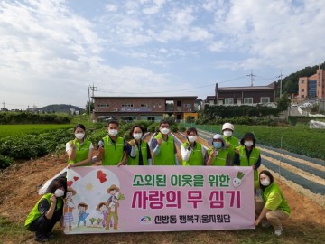 취약계층 위한 김장 무 파종
