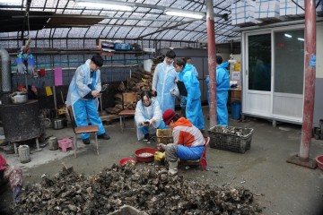 고흥군, 7개 대학 청년과 함께 동계 어촌봉사캠프 개최