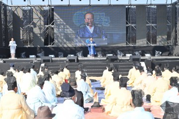 청송사과축제 황금진 청송사과 세상을 밝히다.