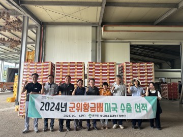 군위군, 황금배, 미국 수출 26주년 맞아