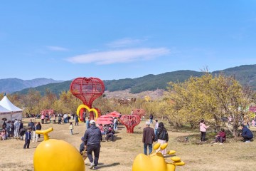 구례군, 제27회 구례산수유꽃축제 개최 