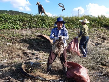 강진군 병영면, 호우 피해 극복 위한 따뜻한 손길 이어져
