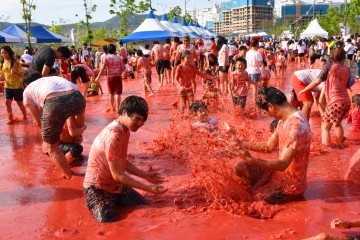  달성  토마토축제의 주관사로는 대구광역시 관광협회(회장 윤현)가 선정