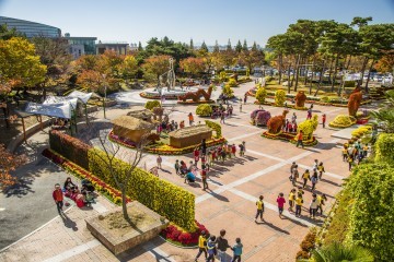 북구청 광장에서 가을의 향기를 느끼세요