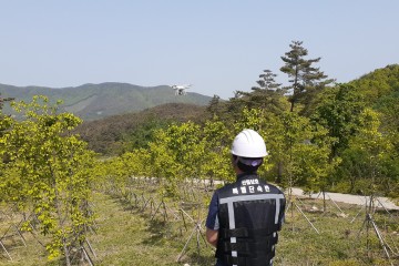 명품 산림자원 유지·보호 앞장서는 청송군
