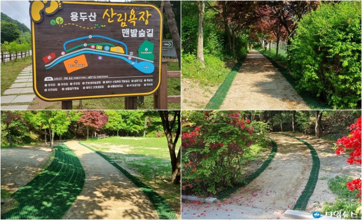 제천 송학면 용두산 산림욕장, 시민 제안으로 '맨발숲길' 새단장