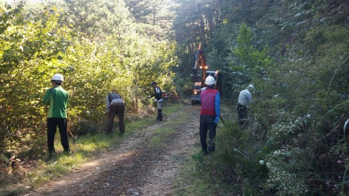 순천시, 추석맞이 성묘객을 위한 임도 일제정비 추진