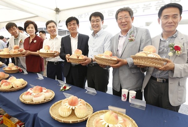 전주종합경기장서 제철 맞은 복숭아 큰잔치 열린다