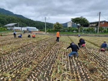 김천시 건설도시과 직원 일동, 두 번째 농촌일손돕기 실시