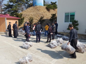 영주사과대목 구입해서 직접 사과 묘목 만들어요!
