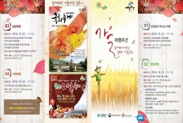 충북의 가을 속으로