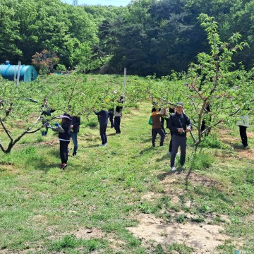 음성군 재난안전과, 상반기 농촌일손돕기 추진