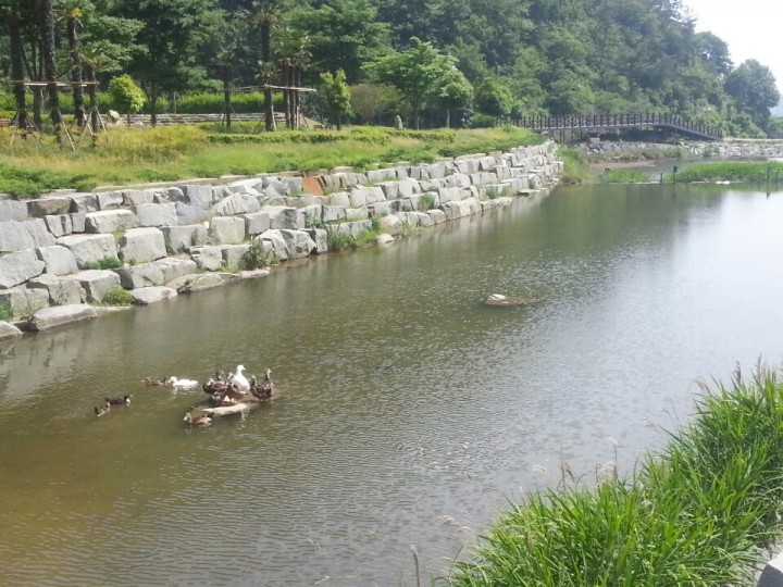 사천시 용두공원, 동물 방목으로 생태공원으로 변모