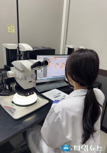 충북, ‘기후 위기’ 타고 오는 모기 감염병 차단... 촘촘한 감시망 폈다