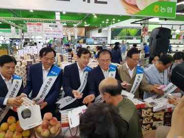 충주복숭아, 24일부터 수도권 판촉행사