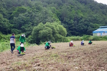 외국인 계절근로자 근로실태조사 및 현장 점검 나서는 청송군