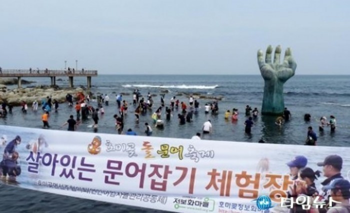 포항시 쫄깃한 호미곶 돌문어 맛보러 오세요