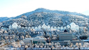 조선대, 정시모집 원서접수…총 966명 선발