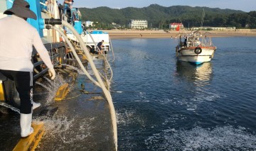 태안군, 올해 대하·꽃게 등 방류 