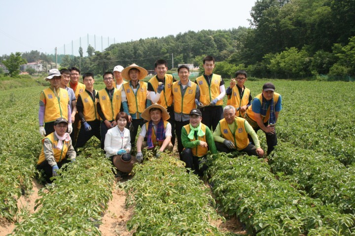 울진경찰서, 농촌 일손돕기 나서