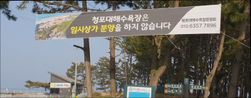 청포대해수욕장 태안군 최초 "2020년 계절영업 가설건축물 축조 미신고 등록 사업주 입주금지" 알림 