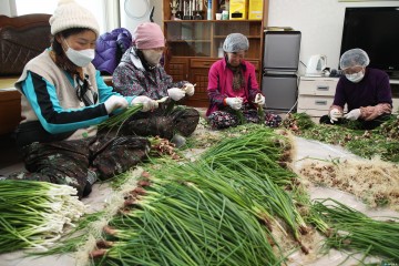 충북 ‘일하는 밥퍼’ 참여자 3,000명 조기 돌파… 복지 넘어 지역 상생 모델로 우뚝