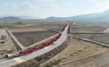 강진군, 군도 3호선 가로수길 조성 본격 추진 