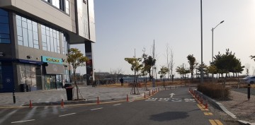  ‘불법 주정차 금지’, 여수시 차선 규제봉 집중 정비